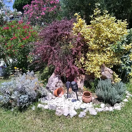 Summer House Toula Nea Kallikrateia